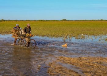 3 Questions on Loss and Damage Funding to Tackle Before COP28